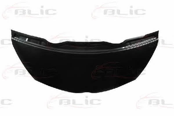 Hood Blic 6803-00-8100280P