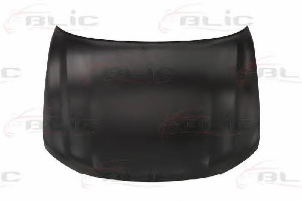 6803008138280P Blic Hood