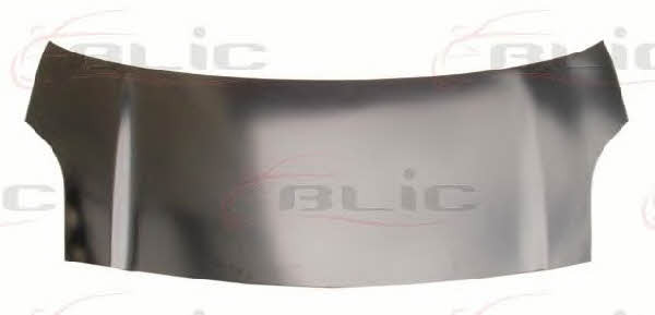 6803008155280P Blic Hood