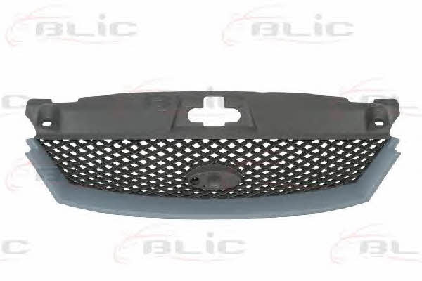 Grille radiator Blic 6502-07-2555992P