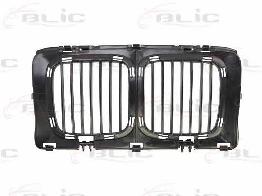 Grille radiator Blic 6502-07-0057990P