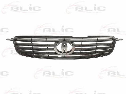 Grille radiator Blic 6502-07-8114993P