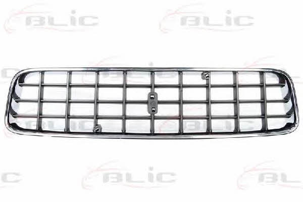 Grille radiator Blic 6502-07-9060990P