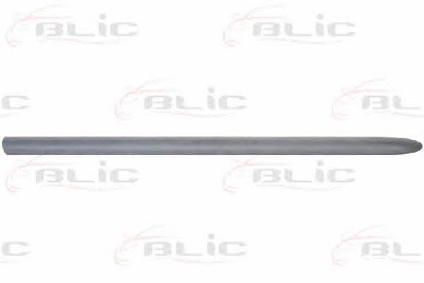 Door trim Blic 5703-04-2031572P