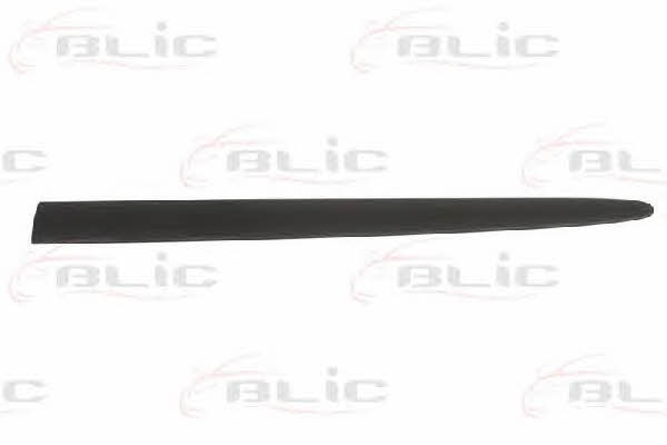 Door moulding Fiat: 5703042045571P Blic Door trim