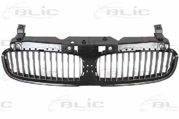 Grille radiator Blic 6502-07-0076991P