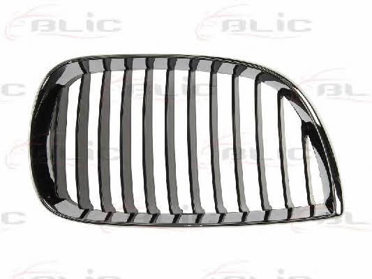 6502070085994P Blic Grille radiator