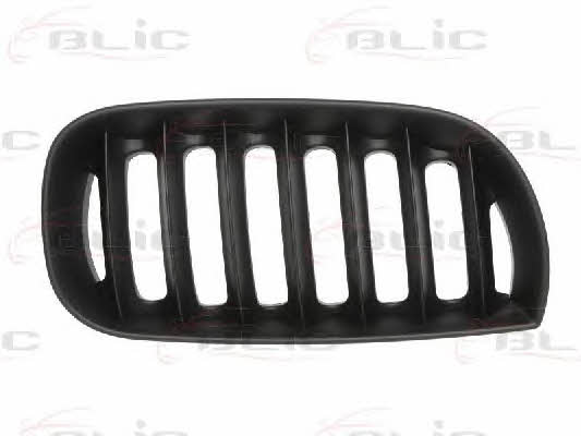 Grille radiator Blic 6502-07-0093996P