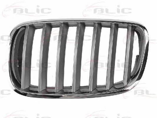 Grille radiator Blic 6502-07-0096991PP