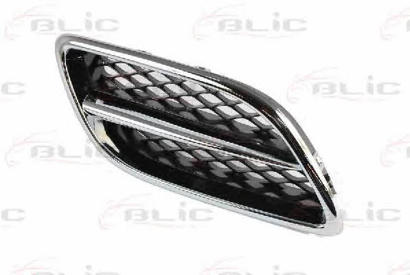 Grille radiator Blic 6502-07-1668996P