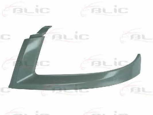 Headlight strip Blic 6502-07-2042991P