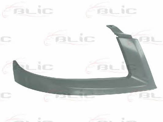 Headlight strip Blic 6502-07-2042992P