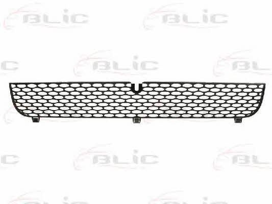 Grille radiator Blic 6502-07-2509990P