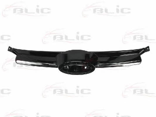 Grille radiator Blic 6502-07-2536990P