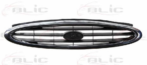 Grille radiator Blic 6502-07-2554992P