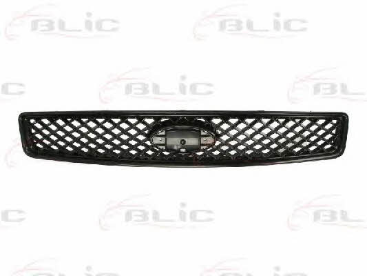 Grille radiator Blic 6502-07-2576990P
