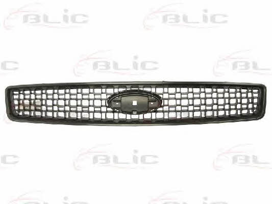 Grille radiator Blic 6502-07-2576991P