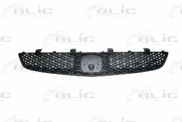 Grille radiator Blic 6502-07-2938993P