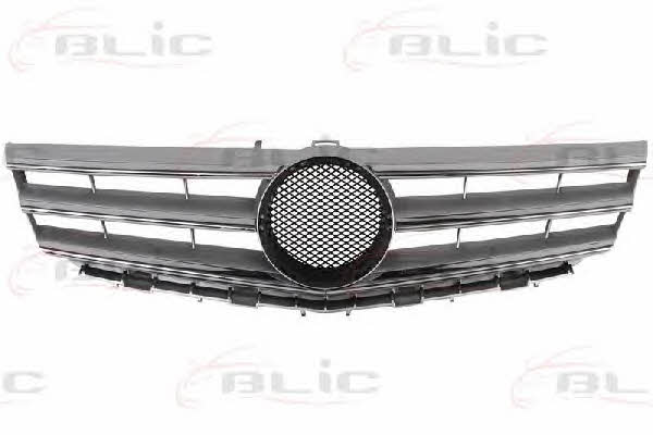 Grille radiator Blic 6502-07-3506991P