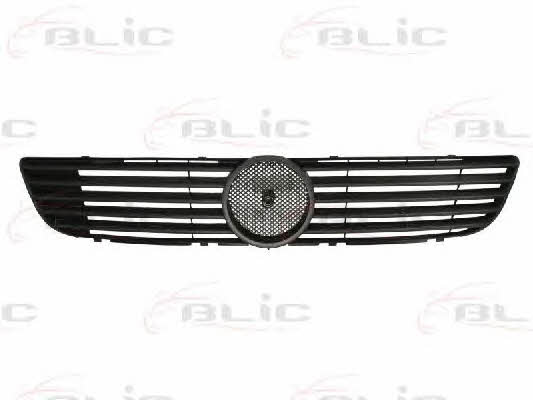 Grille radiator Blic 6502-07-3541993P