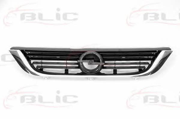 Grille radiator Blic 6502-07-5077994P