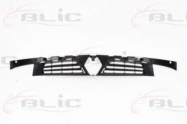 Grille radiator Blic 6502-07-6010996P