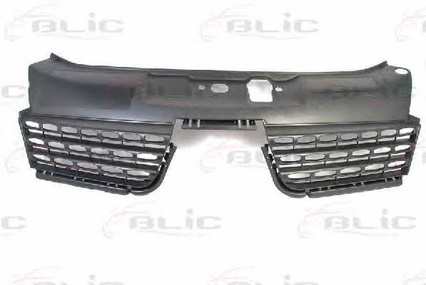 Grille radiator Blic 6502-07-6032993P