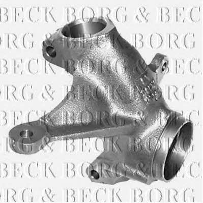 Borg & beck BMM1100 Knuckle swivel BMM1100