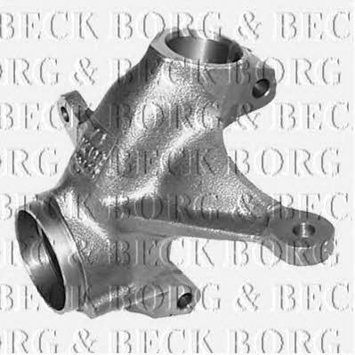 Borg & beck BMM1101 Knuckle swivel BMM1101