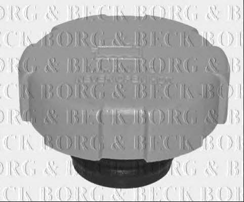 Borg & beck BRC111 Radiator cover BRC111