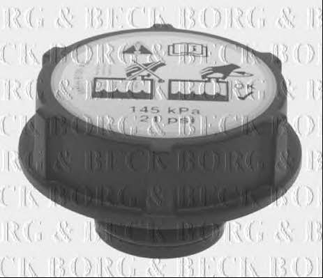 Borg & beck BRC119 Radiator cover BRC119