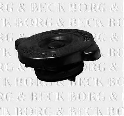 Borg & beck BRC89 Radiator cover BRC89