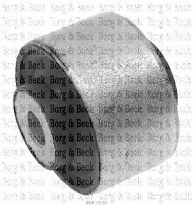 Borg & beck BSK7234 Silent block front upper arm BSK7234
