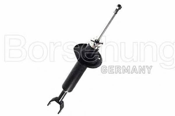 Borsehung B12142 Front oil and gas suspension shock absorber B12142
