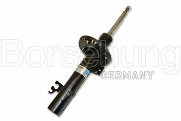 Borsehung B12138 Front oil and gas suspension shock absorber B12138