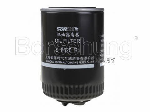 Borsehung B12818 Oil Filter B12818