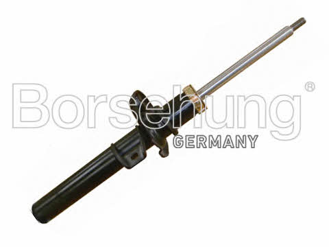 Borsehung B14720 Front oil and gas suspension shock absorber B14720