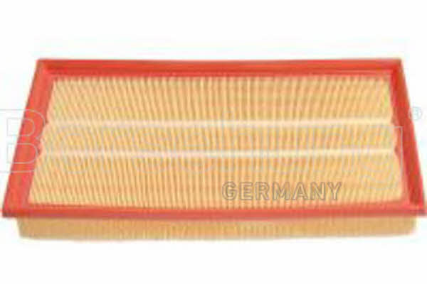 Borsehung B12806 Air filter B12806