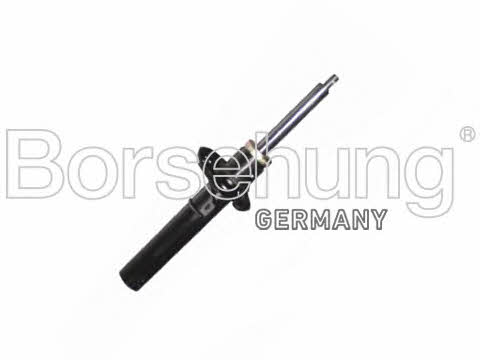 Borsehung B14717 Front oil and gas suspension shock absorber B14717