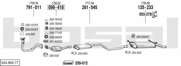 02496077 Bosal Exhaust system