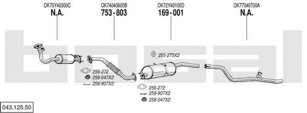 Bosal 043.125.50 Exhaust system 04312550