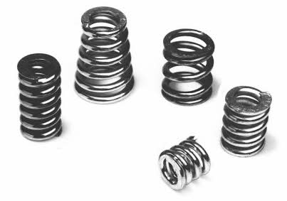 Bosal 251-298 Exhaust pipe spring 251298