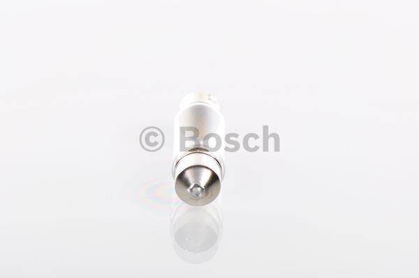 Glow bulb C10W 12V 10W Bosch 1 987 302 228