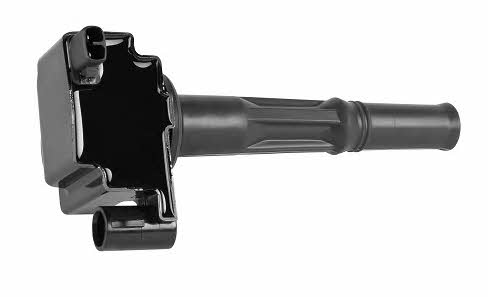 Bougicord 155307 Ignition coil 155307