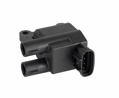 Bougicord 155436 Ignition coil 155436