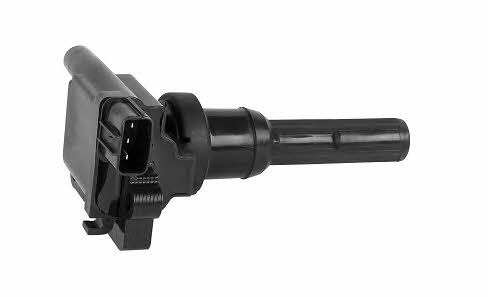 Bougicord 155204 Ignition coil 155204