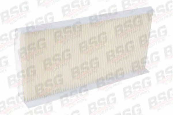 BSG 30-145-003 Filter, interior air 30145003