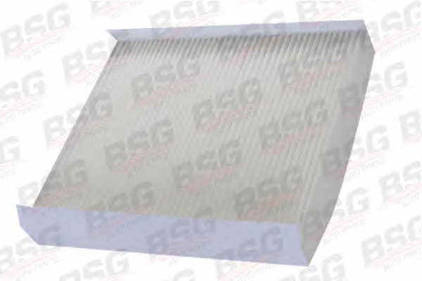 BSG 30-145-006 Filter, interior air 30145006