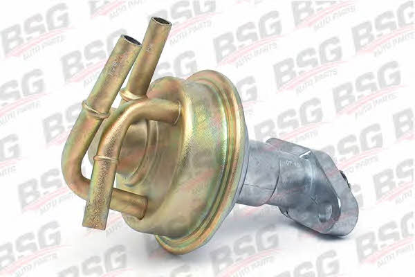 BSG 30-150-002 Fuel pump 30150002