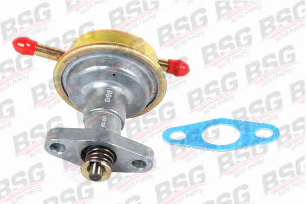 BSG 30-150-003 Fuel pump 30150003